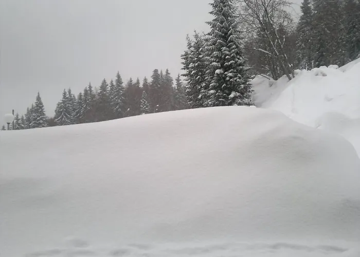 Laplandia 3* بامبوروفو