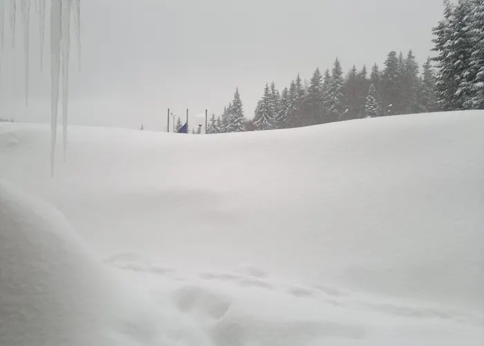 Laplandia بامبوروفو